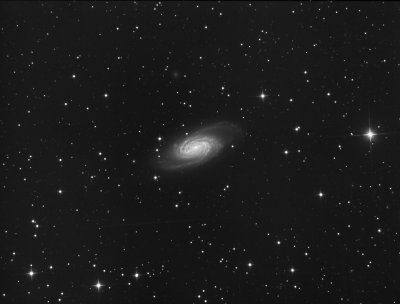 NGC 2903