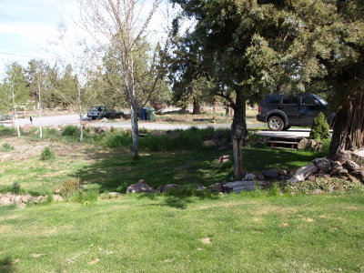 front yard and driveway