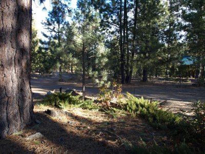 Circular Gravel Driveway