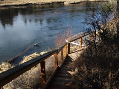 Beaver Drive