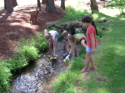 stream running thru property