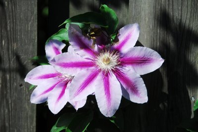g4/74/755274/3/143342774.2bUcwVXf.jpg
