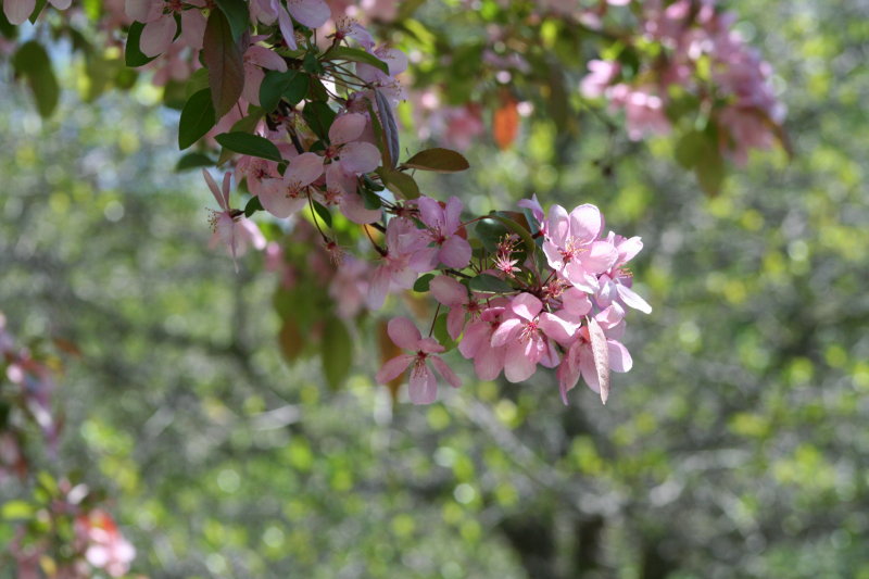 Mosquito Hill Nature Center