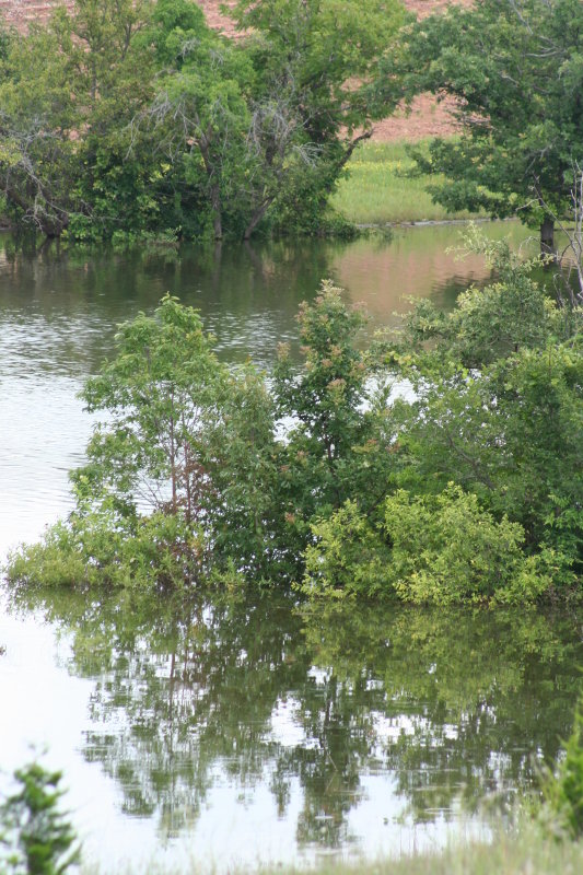 Norman Park