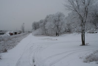 Old' Snowy Train Tracks