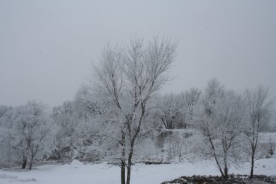 Frosty Morning...
