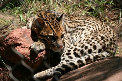 Oklahoma City Zoo