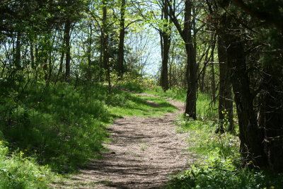 Mosquito Hill
