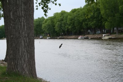 Wolf River Trail