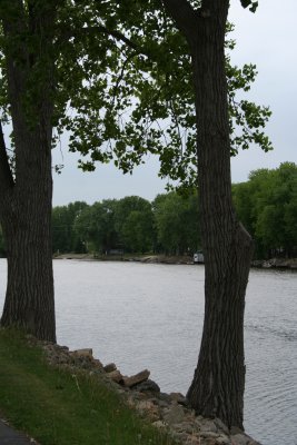 Wolf River Trail