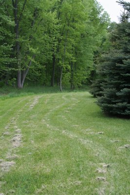 Wolf River Trail