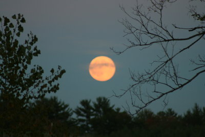 IMG_1497.JPG
