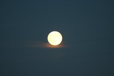 IMG_1512.JPG