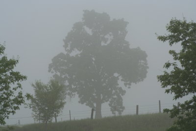 IMG_4179.JPG