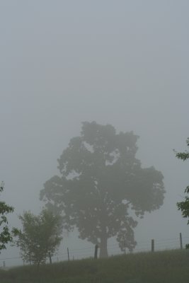 IMG_4182.JPG