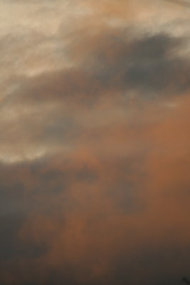 IMG_3363.JPG