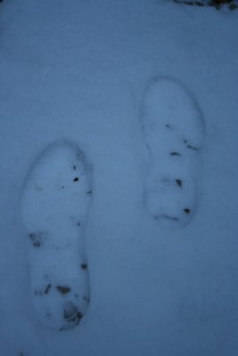 Shoe Prints in the Snow...