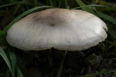 IMG_1545.JPG