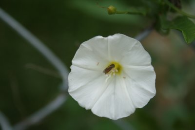 IMG_6137.JPG
