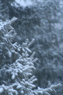 Snowing in a BIG way!!