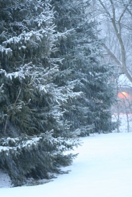 Winter Wonderland!