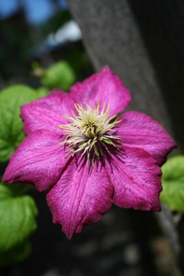 IMG_5838.JPG