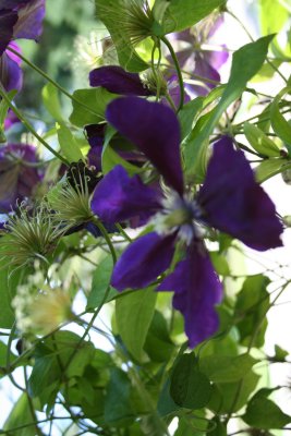 IMG_5839.JPG