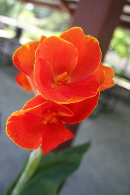 IMG_5888.JPG