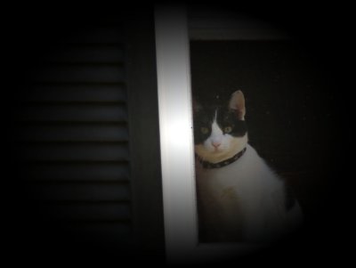 Wishing I was Outside!
