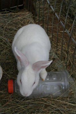 IMG_8459.JPG