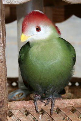 IMG_8621.JPG