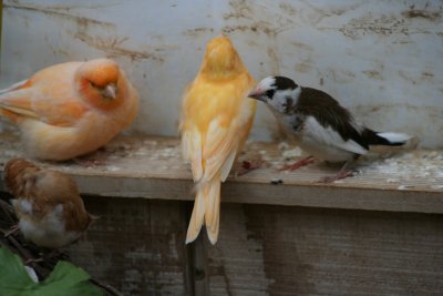 IMG_8765.JPG
