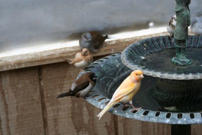 IMG_8741.JPG