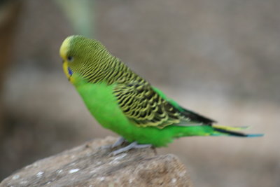 IMG_8744.JPG