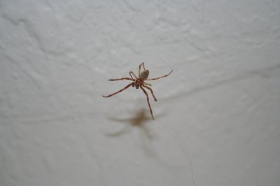 IMG_0617.JPG