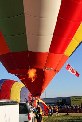 IMG_8187aT.jpg