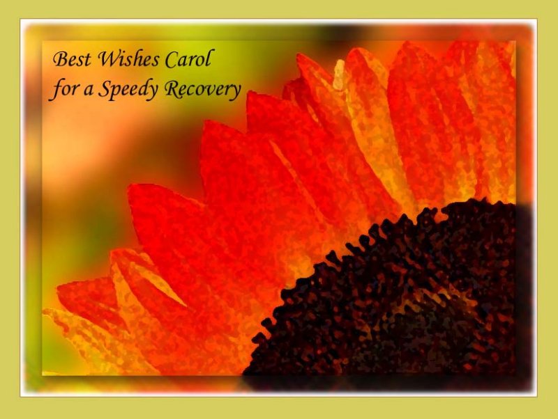 Wishing Carol a Speedy Recovery