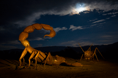 The Scorpion and the Cricket