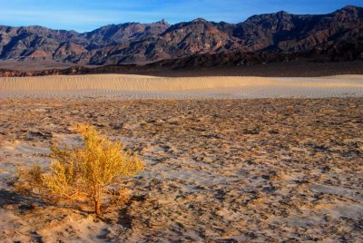 More Desert Goodies