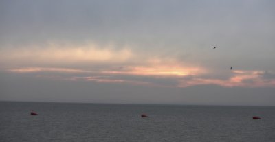 neusiedler see