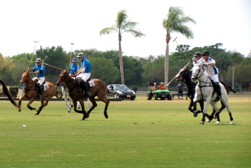 POLO 021.jpg