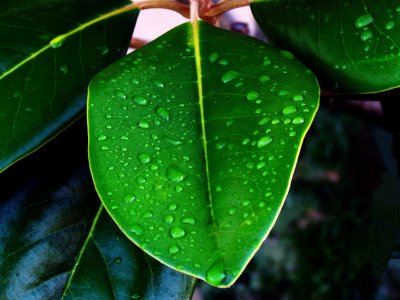 Surface Tension 002