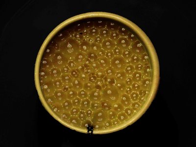 Guess what this is