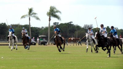 POLO 013.jpg