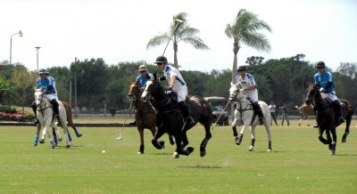 POLO 014.jpg
