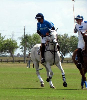 POLO 018.jpg