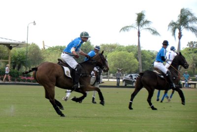 POLO 024.jpg