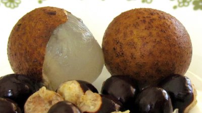 Longan