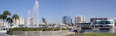 New Years Day in Florida