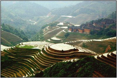 terrace 3  LongshengGuangxi.jpg